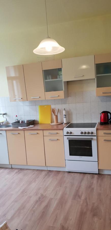 Apartments Wagner Crimmitschau Kültér fotó